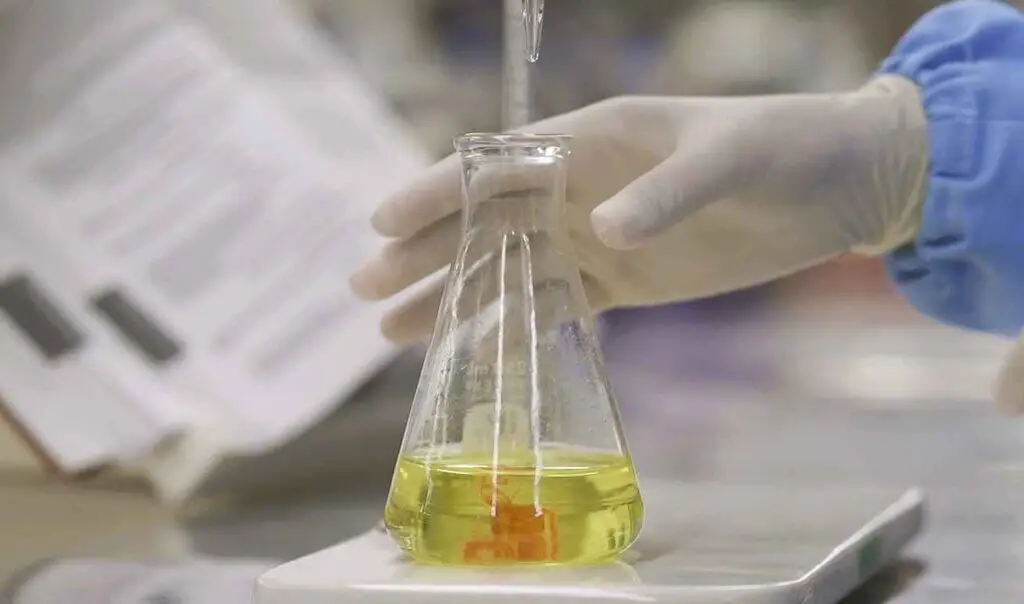 Research and Development Photo